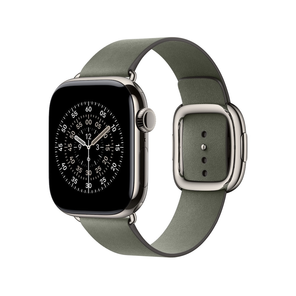 Apple Armband mit moderner Schließe, Silbergrau, 42mm (Series 10/11/12), Medium